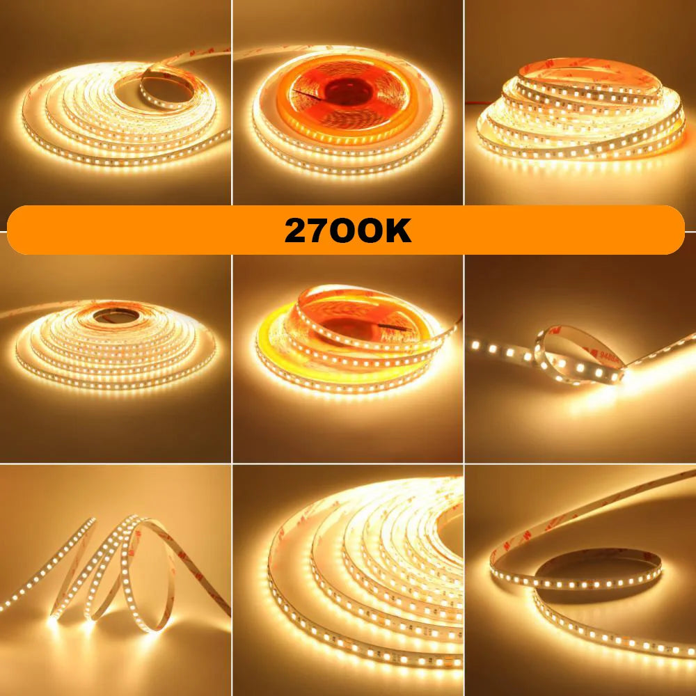 LED Strip Light 2835 24V 5m 10m RA98 2700K 3000K 3500K 4000K 5000K 6000K Flexible Tape Stripe Super Bright 120LED Home Lighting